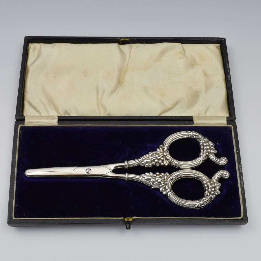 Edwardian Cased Silver Grape Scissors Levi & Salaman