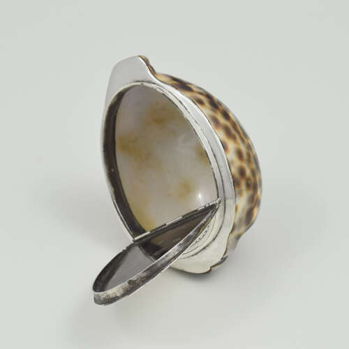 Stunning Rare Georgian Silver Mounted Cowrie Shell Snuff Box c.1800