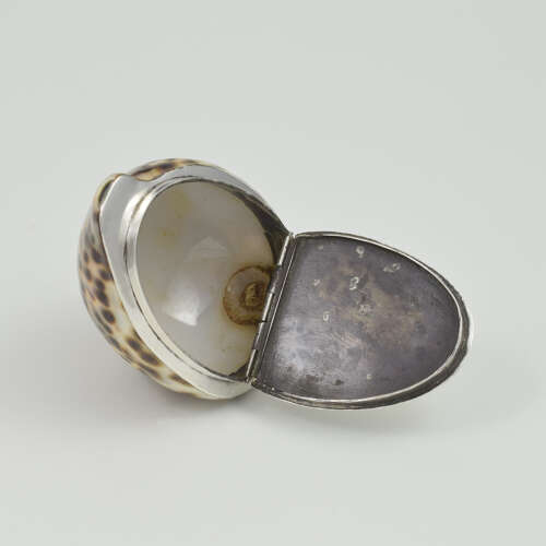 Stunning Rare Georgian Silver Mounted Cowrie Shell Snuff Box c.1800