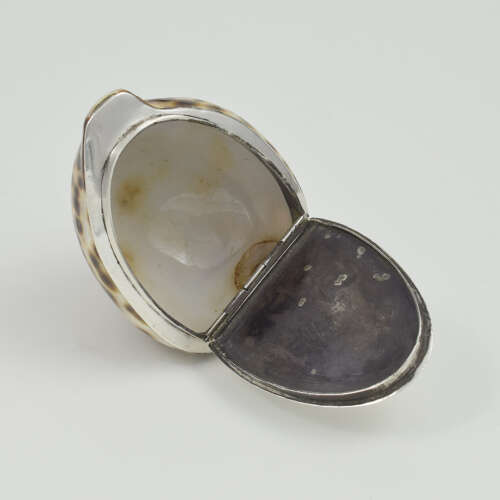 Stunning Rare Georgian Silver Mounted Cowrie Shell Snuff Box c.1800