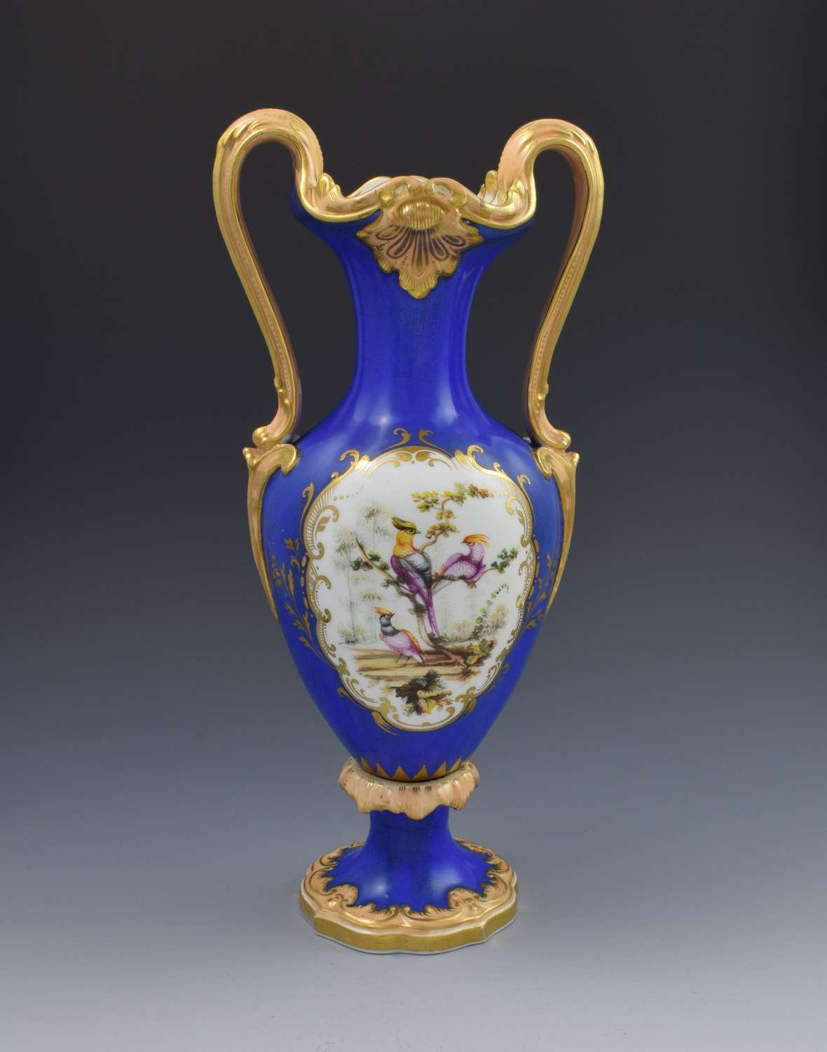 Large Coalport Vase With Sevres Style Birds By Randall c.1845