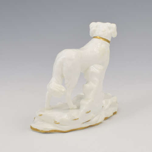 Rare Early Minton Porcelain Blanc De Chine Figure Of A Gundog Dog c.1830