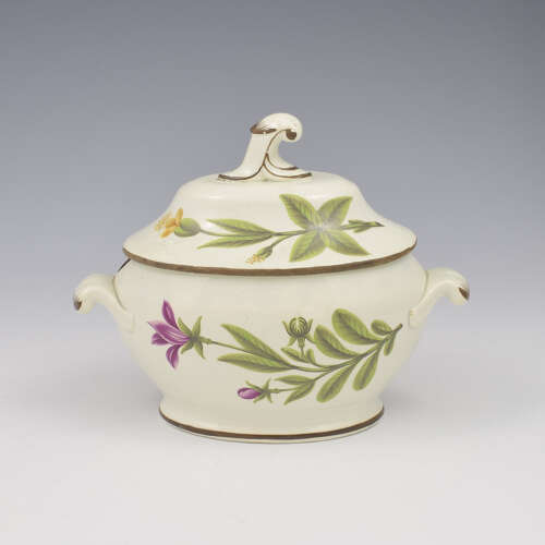 Rare Georgian Swansea Pearlware Botanical Sauce Tureen c.1810