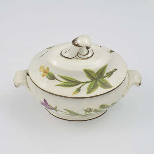 Rare Georgian Swansea Pearlware Botanical Sauce Tureen c.1810