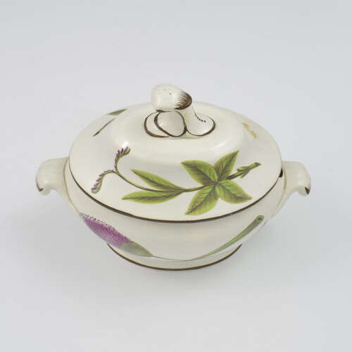Rare Georgian Swansea Pearlware Botanical Sauce Tureen c.1810