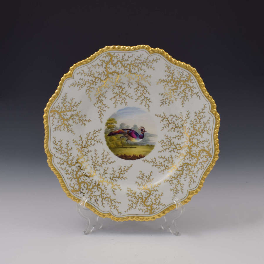Flight Barr & Barr Worcester Porcelain Fancy Bird Dessert Plate c.1815
