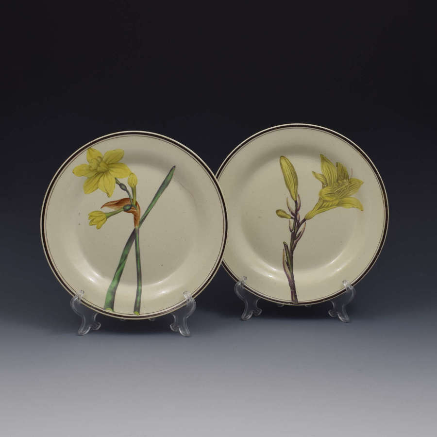 Pair Of Creamware Botanical Plates c.1800-1810